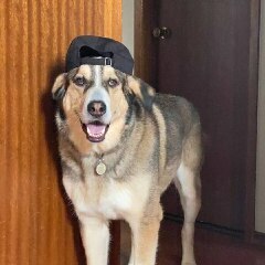 Fundraising Page: Kobe Guevarra 